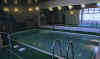 pool01.jpg (18876 bytes)
